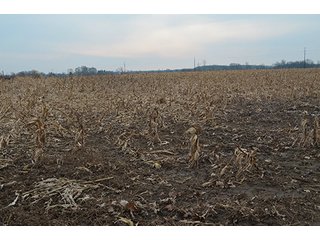 Property photo 30 - LAND AUCTION, 77 Acres offered in 3 Tracts